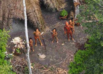 Brazil Indigenous People suicide