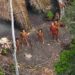 Brazil Indigenous People suicide