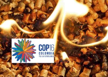 CBD COP16 biomass