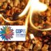 CBD COP16 biomass