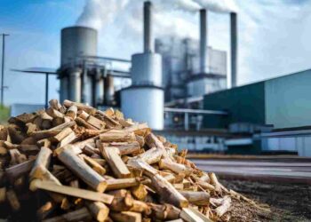 biomass industry