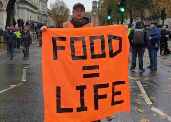 Just Stop Oil marched with the right-wing NFU today – but hear them out…