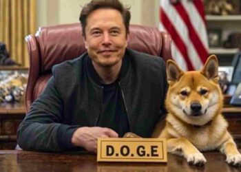 Elon Musk DOGE