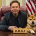 Elon Musk DOGE