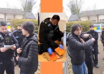 Just Stop Oil Joe airport protest