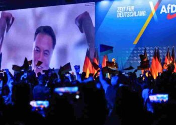 Elon Musk speaking to the AfD in Germany