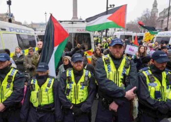 Yet more campaign groups and civil society organisations have called for an investigation into the Met over its policing of a pro-Palestine protest on 18 January