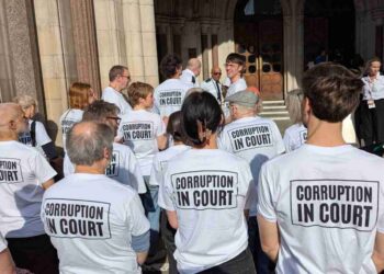 Just Stop Oil mass appeal