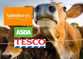 methane emissions supermarkets