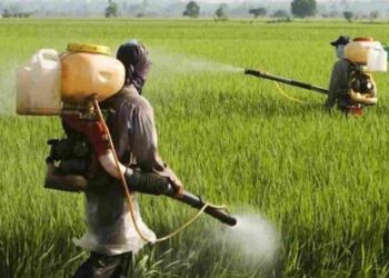 Brazil pesticide law