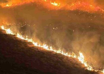 Cwm Rheidol wildfire
