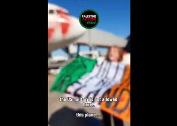Activist holding Irish flag reading "US miliarty out of neutral Ireland" in front of a plane with red paint sprayed across the cockpit Palestine Action
