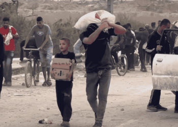 Israel shoot yet again at Palestinians collecting food aid, killing almost a hundred