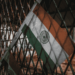 India deports Muslims at gunpoint