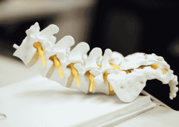 the mythic spine Labour MPs have been missing