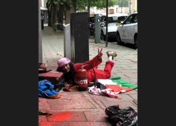 Palestine Action Allianz