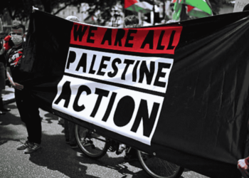 we are all Palestine Action