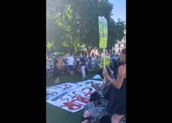 DWP protest parliament