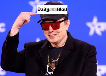 Elon Musk Daily Mail