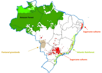 Brazil's biofeuls