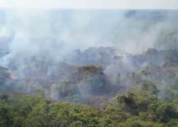 Amazon rainforest burning.