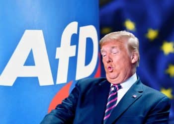 AfD Trump Anitfa