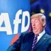 AfD Trump Anitfa