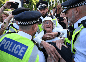 Palestine Action hunger strike