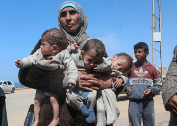 Gaza's starvation crisis