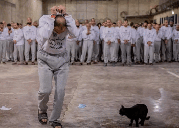 Palestinian men held detention by Israeli forces