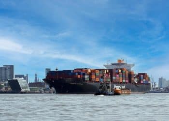 How Sealogic Digital Solutions Simplify Crew Management